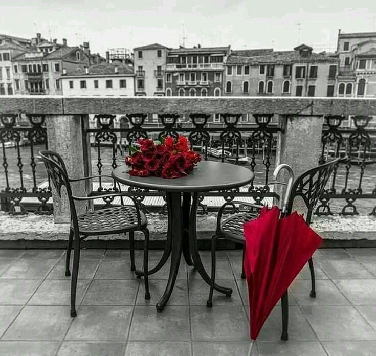 tm7_33's tweet photo. عندما يحب الرجل امرأة فإنها تصبح نقطة ضعفه ..

وعندما تحب المرأة رجلا فإنه يعتبر نقطة قوتها  .!

صحيح ..
غير صحيح ..
كلاهما نقطة ضعف للآخر ..
كلاهما نقطة قوة للآخر ..

تسعدنا أرآئكم .... 💐 . https://t.co/9US7nmeUK8