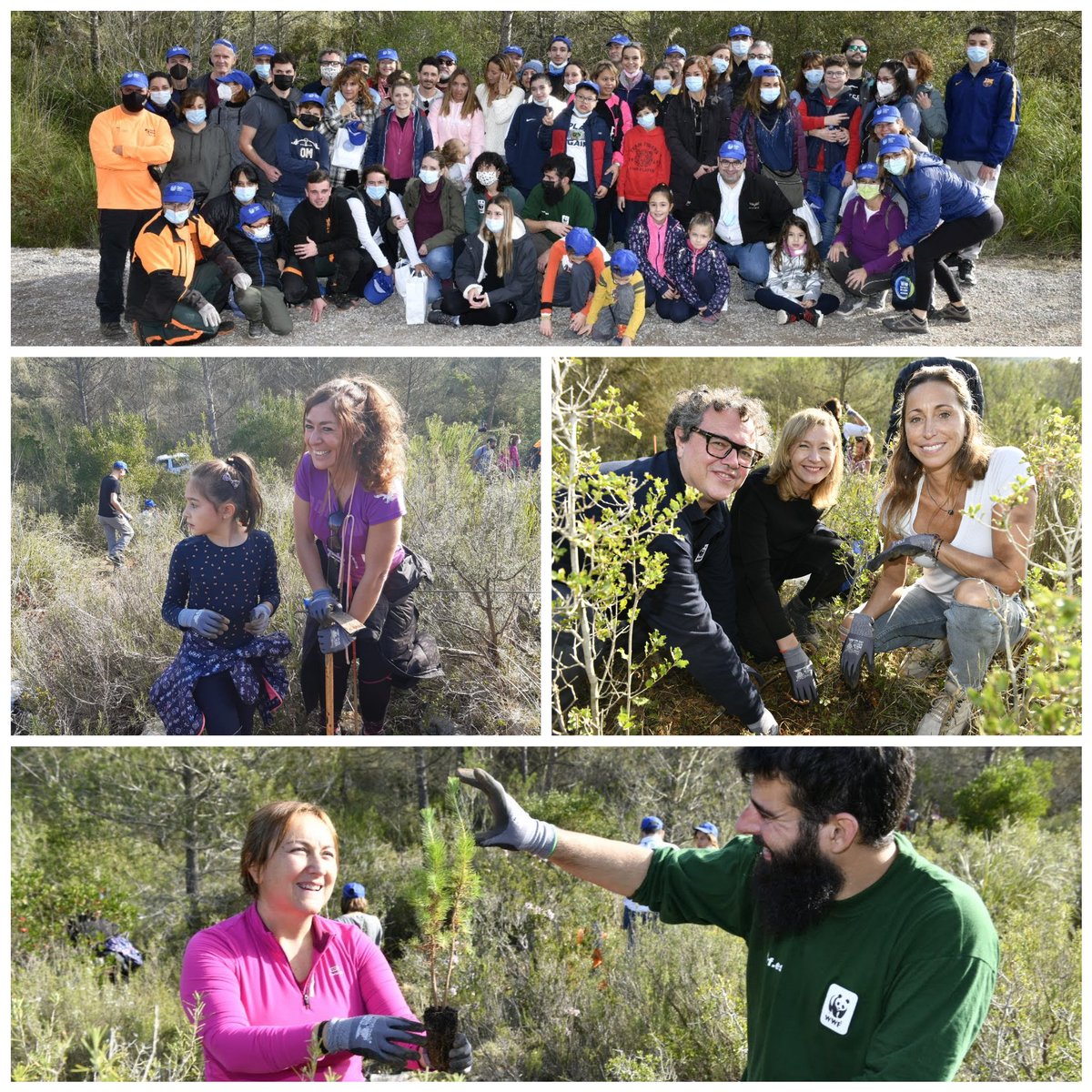 Cuando madrugan tantos compañeros <a href="/sanitas/">Sanitas</a>, después de superar el reto #HealthyCities, para  replantar en la zona incendiada del Garraf, ya sabes que sigue habiendo esperanza para la partida #OneHealth.  Aún más con el apoyo de <a href="/gemmamengualciv/">gemma mengual civil</a>,  <a href="/ESegovia_WWF/">Enrique Segovia</a> <a href="/WWFespana/">WWF España 🐼</a>. Gracias