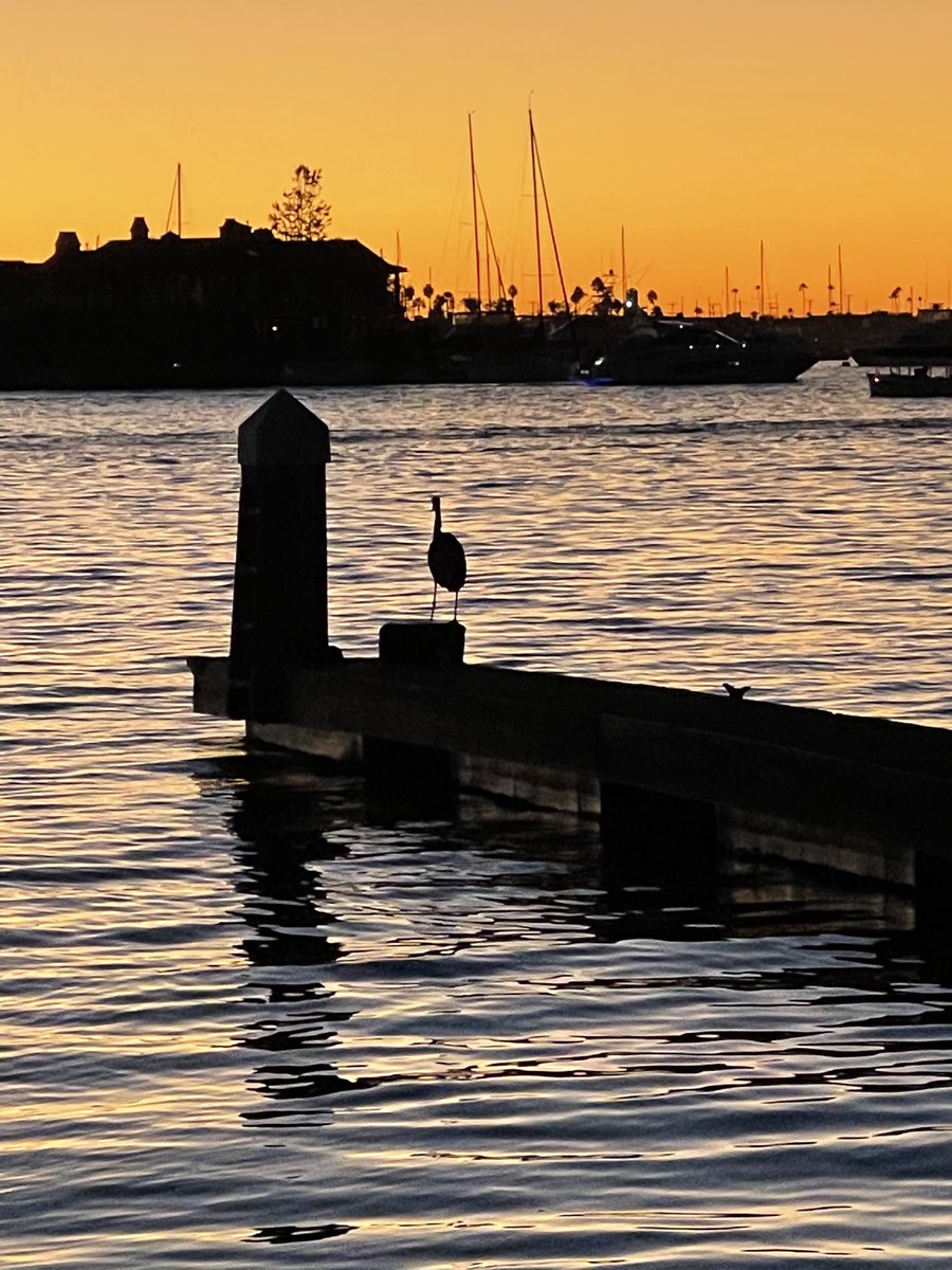 Newport Beach #SaturdaySunset