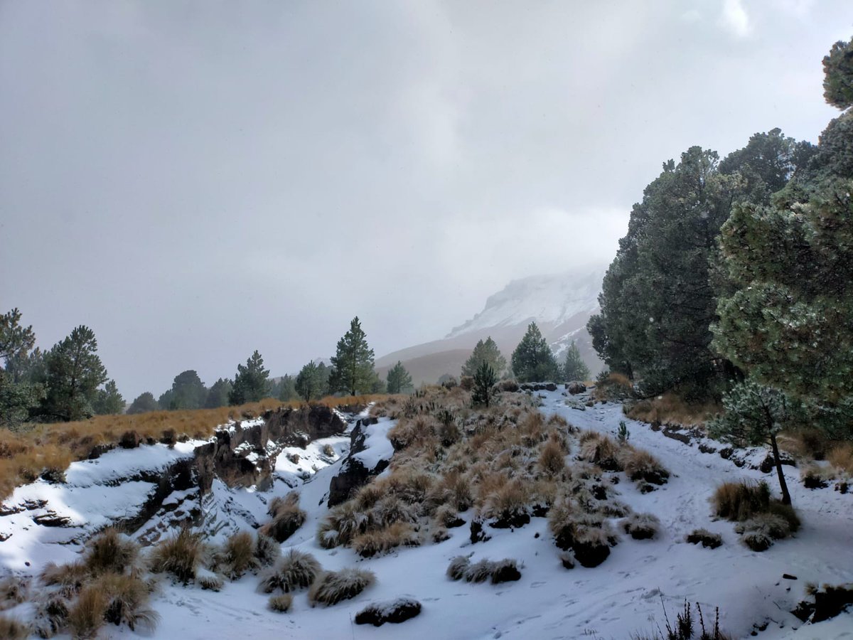 #InformativoRegionalPuebla | Bajo una espectacular nevada, el equipo de alta montaña de <a href="/CTMPuebla/">CTM_FTPuebla</a> "Carlos Aceves del Olmo" con éxito realizamos el  ascenso a la Malintizi.

"Con gran orgullo fuimos portadores del banderín de nuestro Líder vitalicio Don Salomón Soto Téllez"