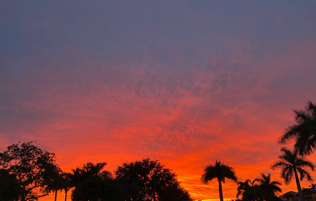 themindkiIIer's tweet photo. #floridacore https://t.co/4AOecu3xUt