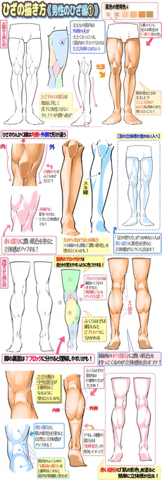 男性マッチョの足まわりの筋肉を描くとき 