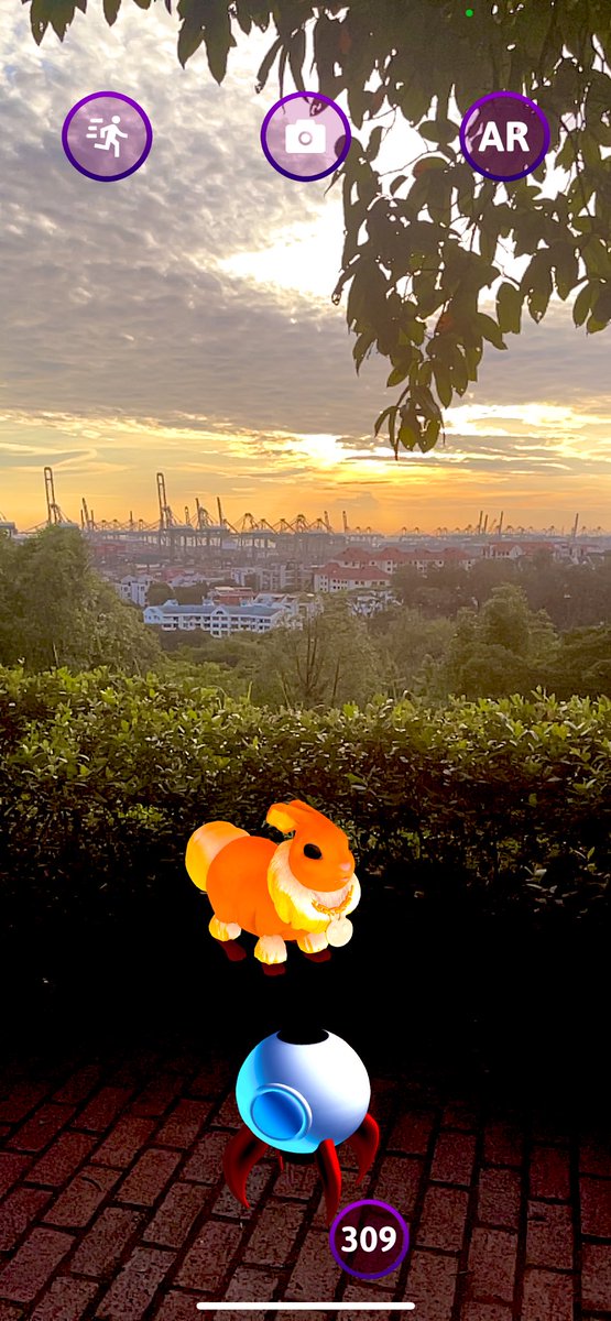 Two of my favourite things can you guess them?