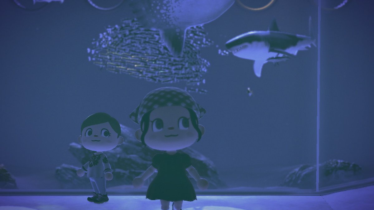 aVerySmolSam's tweet photo. #AnimalCrossing #ACNH #NintendoSwitch https://t.co/uWHSuszyA9