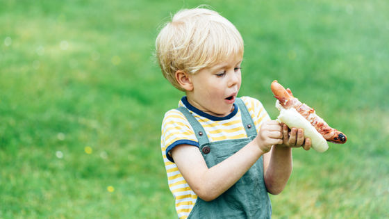 【4～7歳】アメリカの子どもの約40%が「ホットドッグやベーコンは野菜」と誤解
news.livedoor.com/article/detail…

食に関する知識調査で判明。専門家は「名前に動物の名前が入っているチキンナゲットでさえ、30%以上の子どもが植物由来だと判断しました」と記している。