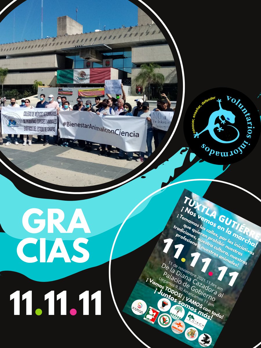 VoluntariosI's tweet photo. #yoSImeINFORMO expertos SI, desde la academia hasta amas de casa, que se van a ver afectados por estas decisiones no solo basadas en inútiles sentimentalismos sino presentadas por idiotas y para funcionarios públicos sin conocimiento.
#BienestarAnimalConEticayCiencia
#Gracias https://t.co/PhNcN5gmY1