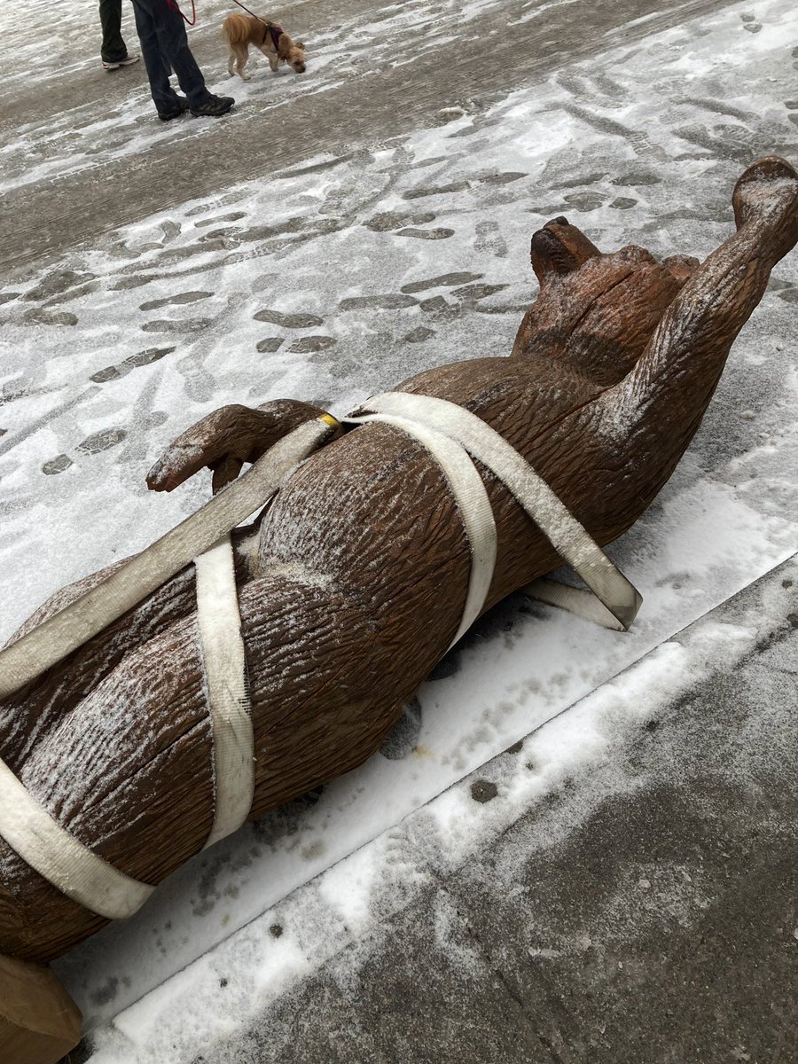 halgarian's tweet photo. Anyone know if this bear was on the way in or on the way out for the Jackson set of #thelastofushbo in Canmore? #hbo #tlou #TheLastofUs @HBOsTheLastofUs @TheLastofUsNews https://t.co/29Ob9b4s5o