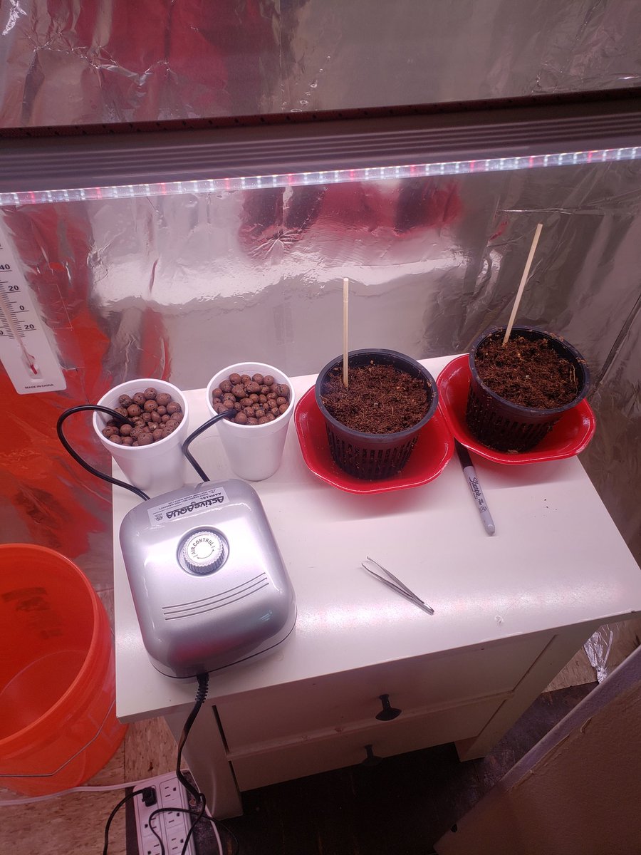 CryptoDadsNYC's tweet photo. Let me show u what I been up to. Quit the legal feild.. new small quit hobby https://t.co/hMlCTwn4IG