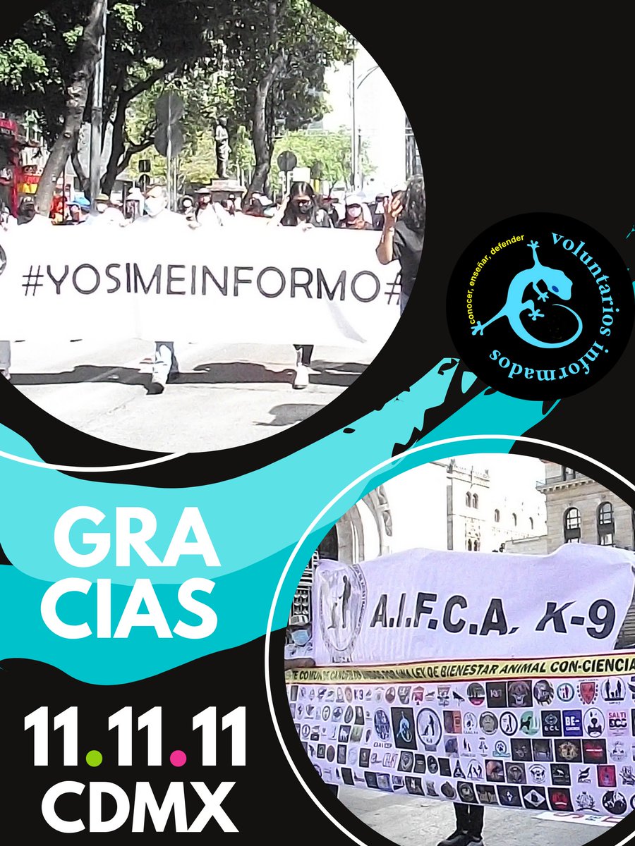 VoluntariosI's tweet photo. #yoSImeINFORMO expertos SI, desde la academia hasta amas de casa, que se van a ver afectados por estas decisiones no solo basadas en inútiles sentimentalismos sino presentadas por idiotas y para funcionarios públicos sin conocimiento.
#BienestarAnimalConEticayCiencia
#Gracias https://t.co/huJ6pzsRn4