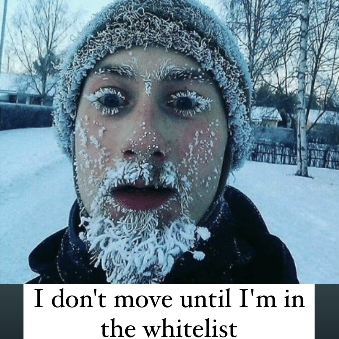 мужская фотосессия в снегу. согревает в холода борода. борода согревает в холода борода слушать. полярник с бородой. борода согревает в холода борода слушать.