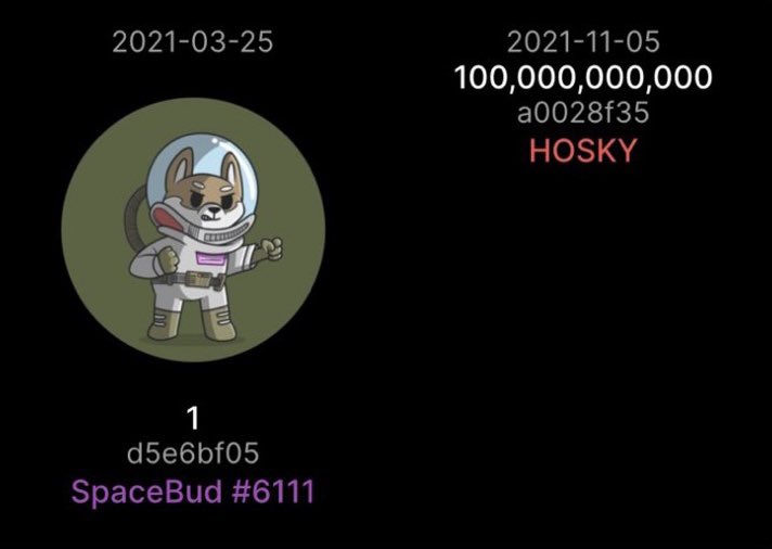 cash_is_trash00's tweet image. Apparently 100B @hoskytoken = 1 @spacebudzNFT