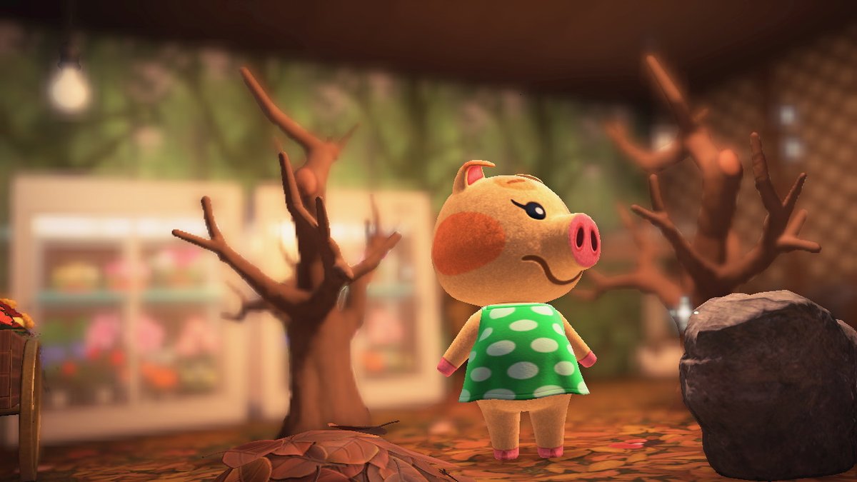 KBudrock's tweet photo. #AnimalCrossing #ACNH #NintendoSwitch https://t.co/wmlecljLud