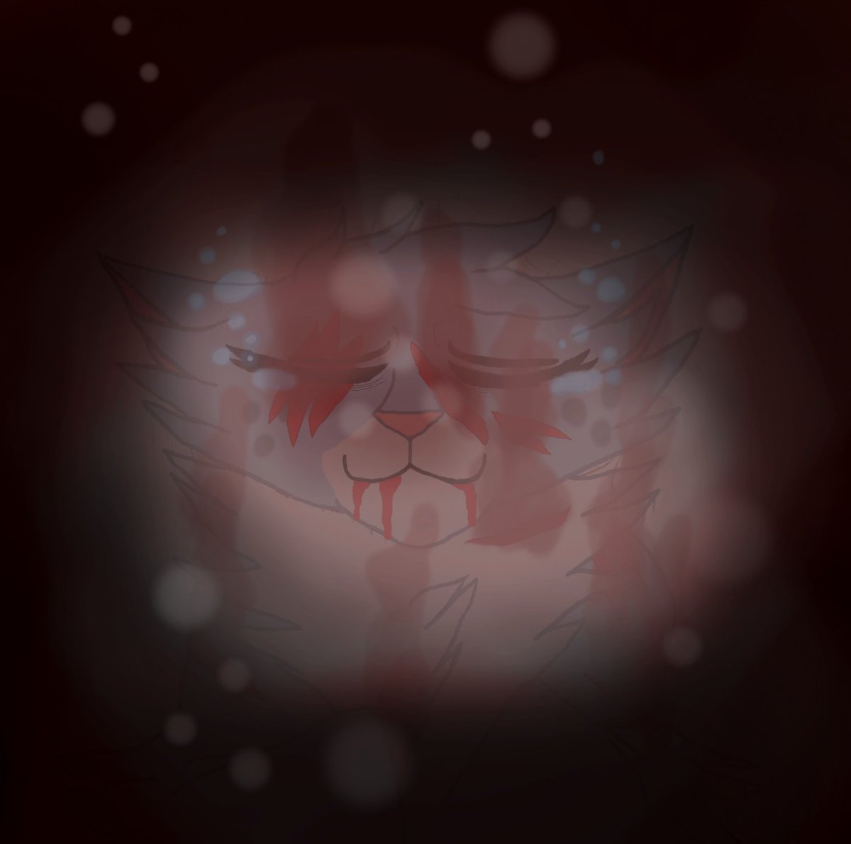 ivythecheetah's tweet photo. A LIGHT IN THE MIST SPOILERS///
-
-
-
-
-
-
-
-
-
-
-
"The cold that gripped her seemed at last to let her go. She closed her eyes and in her last moment felt only warmth. Only love."
#warriorcats #alightinthemistspoilers #alitm #bristlefrost https://t.co/EgiKTVnhV5