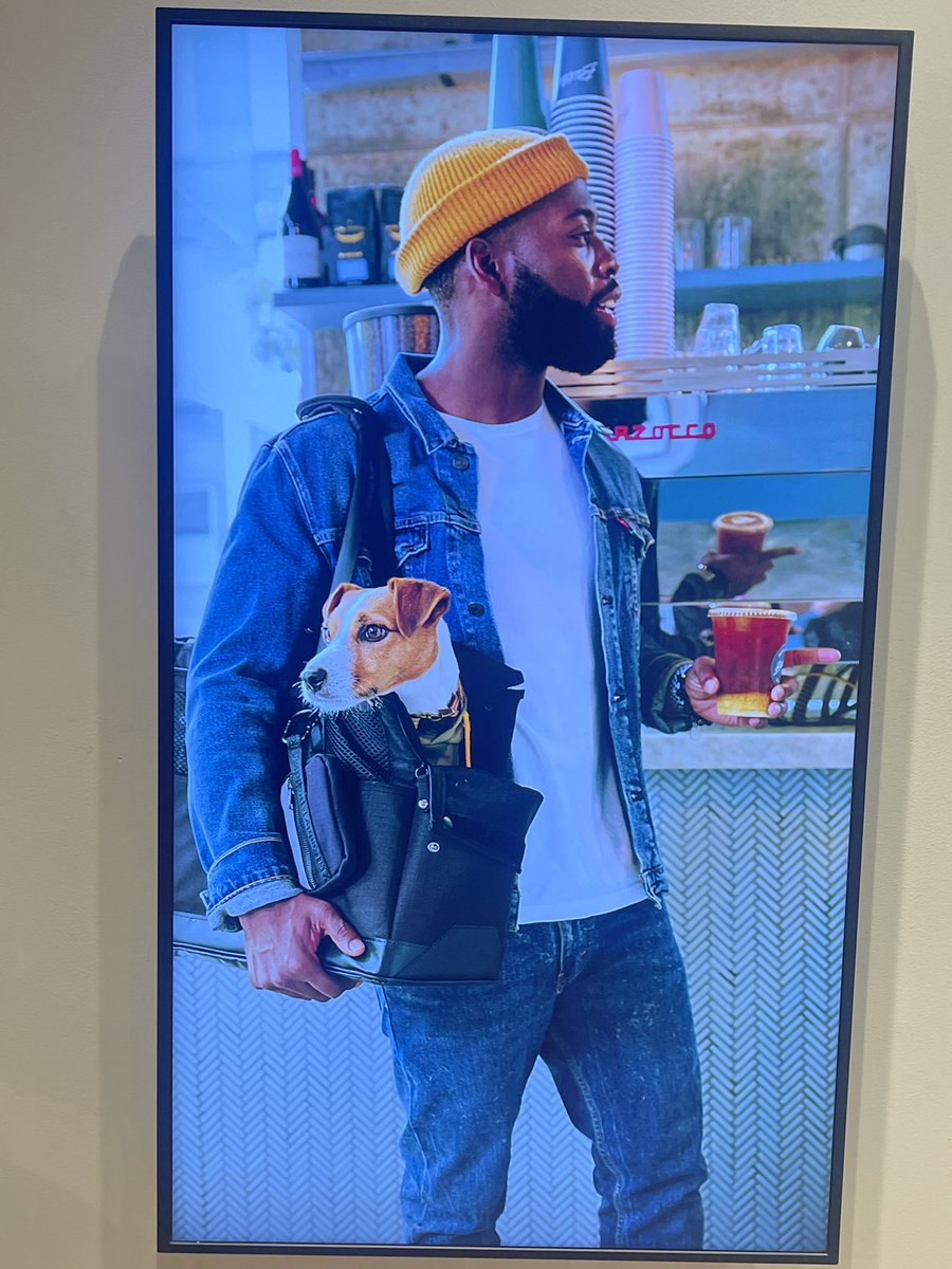 K_Light13's tweet photo. 125 Prince Street! Made it in Soho for a shoot I did with @Petco over the summer! So thankful! @GQMagazine &amp; @Gap up next! Lol 🙏🏾❤️ https://t.co/WHeSwetET1