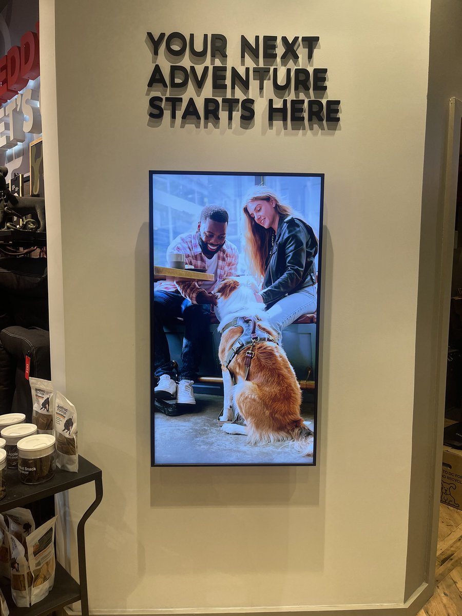 K_Light13's tweet photo. 125 Prince Street! Made it in Soho for a shoot I did with @Petco over the summer! So thankful! @GQMagazine &amp; @Gap up next! Lol 🙏🏾❤️ https://t.co/WHeSwetET1
