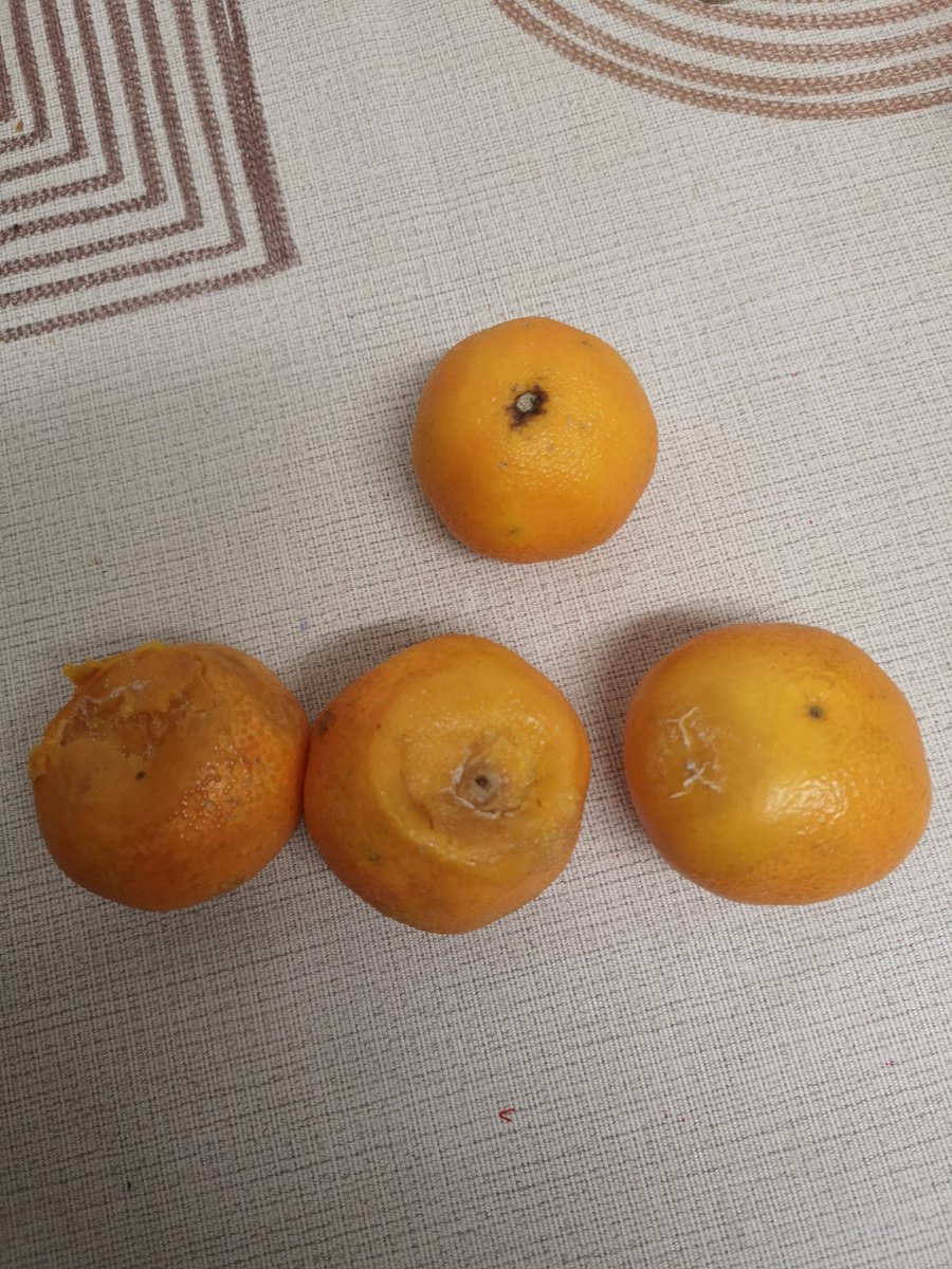 GazRobbo_'s tweet photo. @AldiUK one day old, shocking😡😡 https://t.co/ptcllP4Iv7