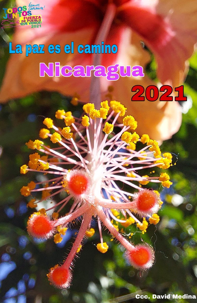 DavidRMedinaC's tweet photo. #Nicaragua
#UnidosEnVictorias https://t.co/ztDsFBTaue