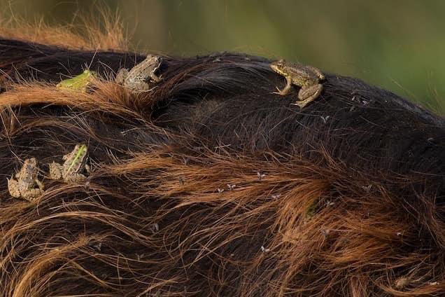 Mikaeylah Davidson @microbemik.bsky.social tweet media