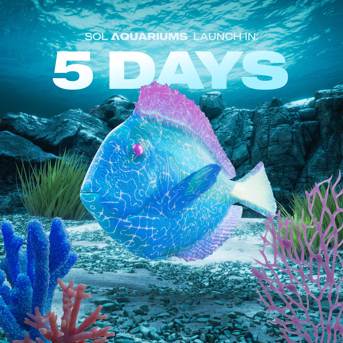SolAquariums's tweet photo. 5 days 🐟 mark your calendars and just keep swimming 🐟🐟🐟 https://t.co/9CSOV0ULQi