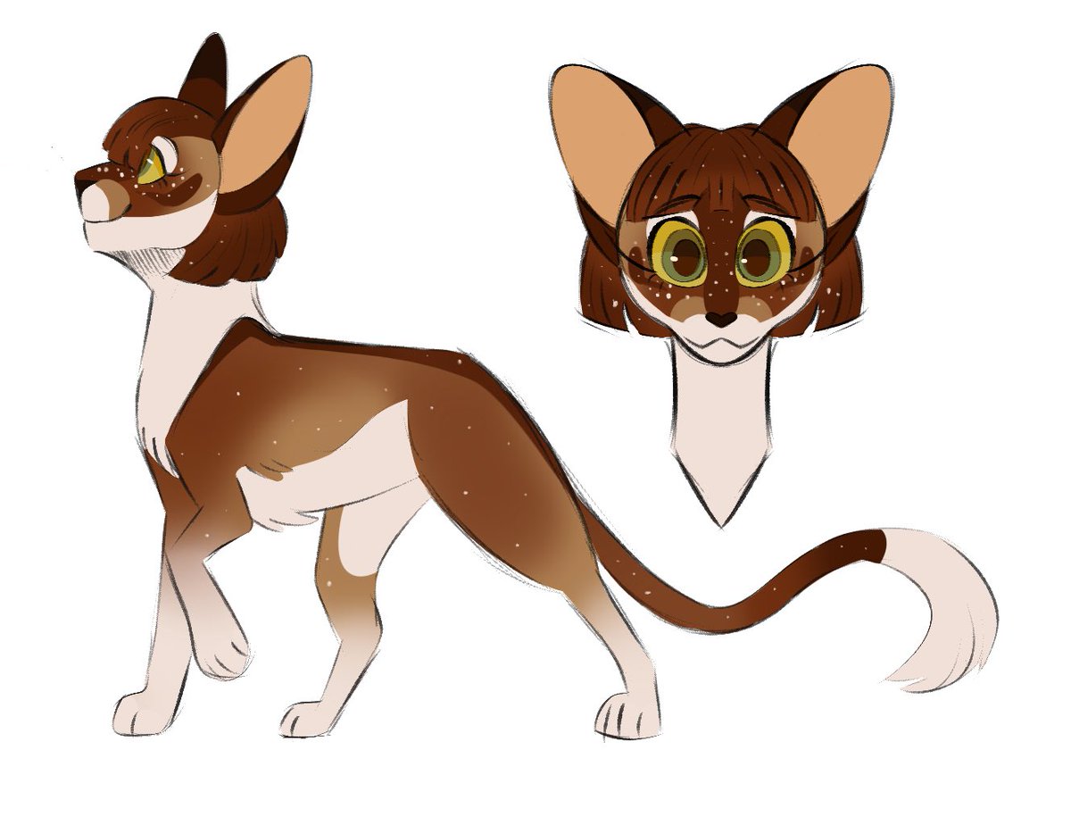 Selling this design for 20$!