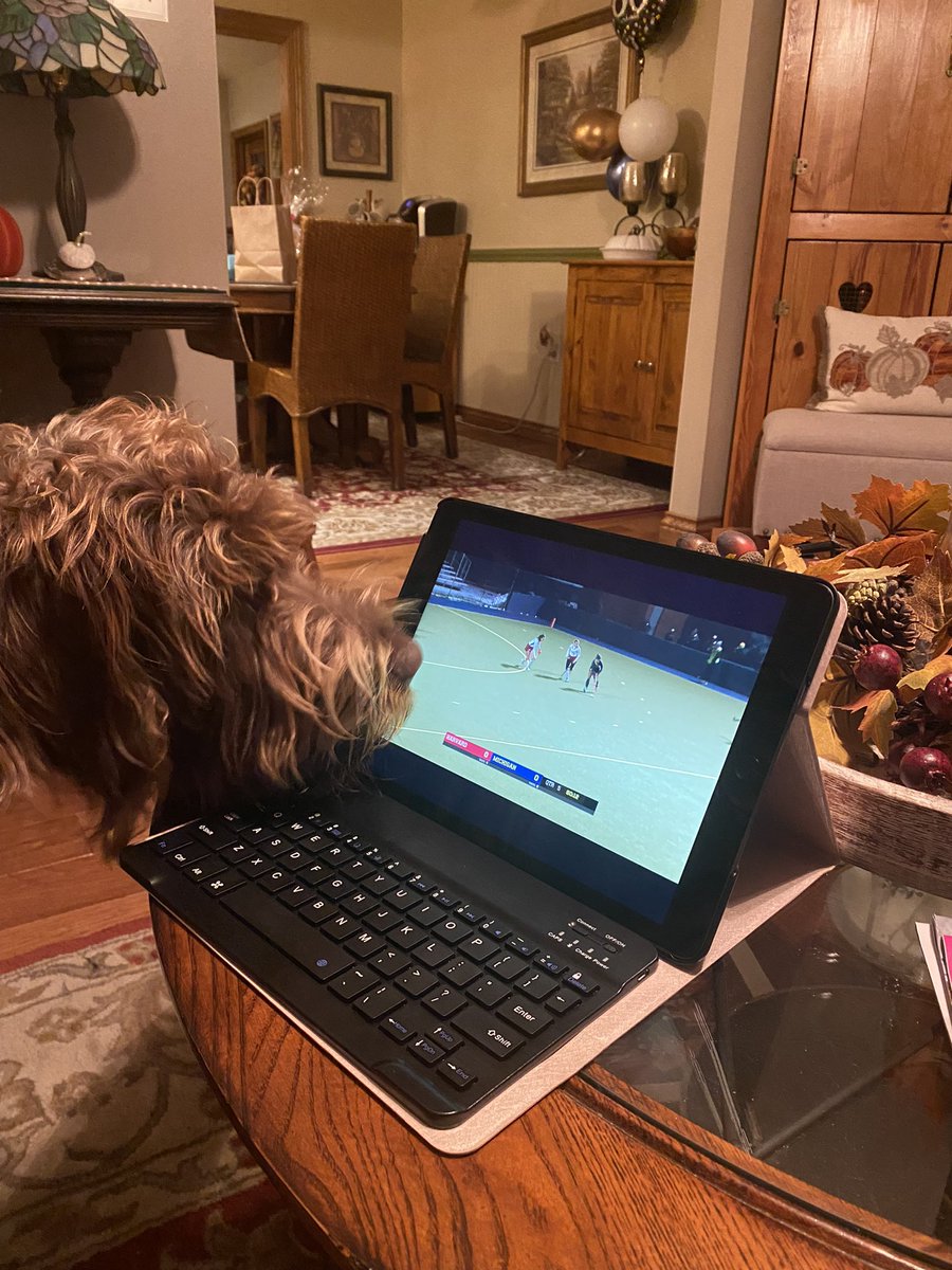 Sadie had a busy day watching hockey. First she watched <a href="/10hoperose/">Hope Rose</a> and now she’s watching Emmy! #CDFH