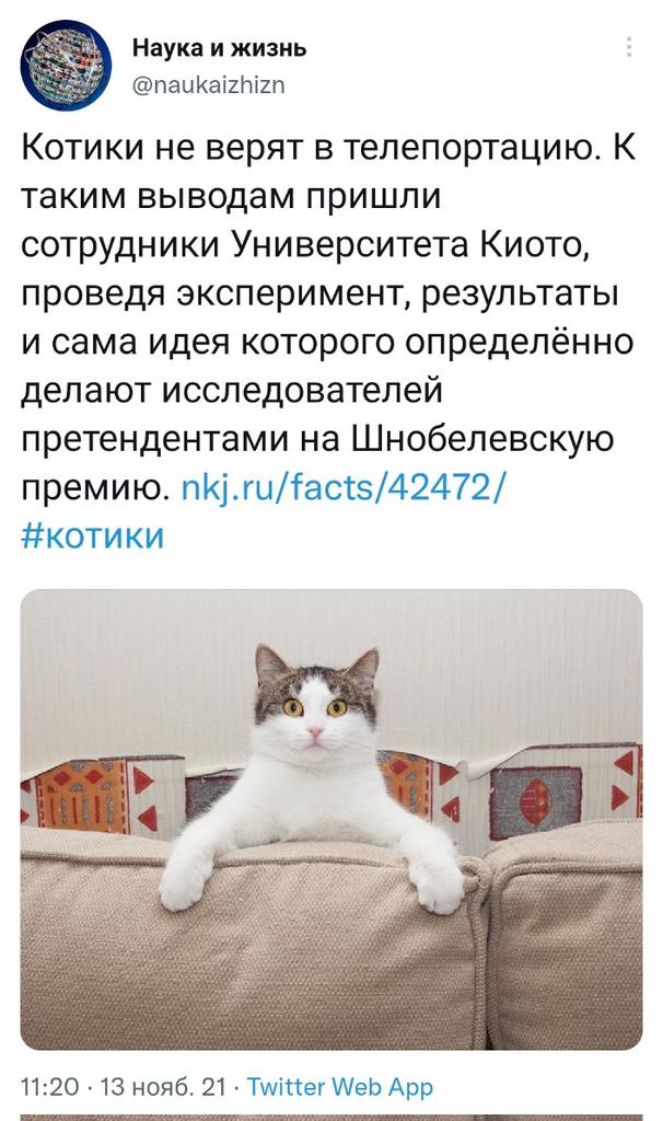 Три дня пытался понять как посмотреть комментарии под твитом.
Я тупее котиков.