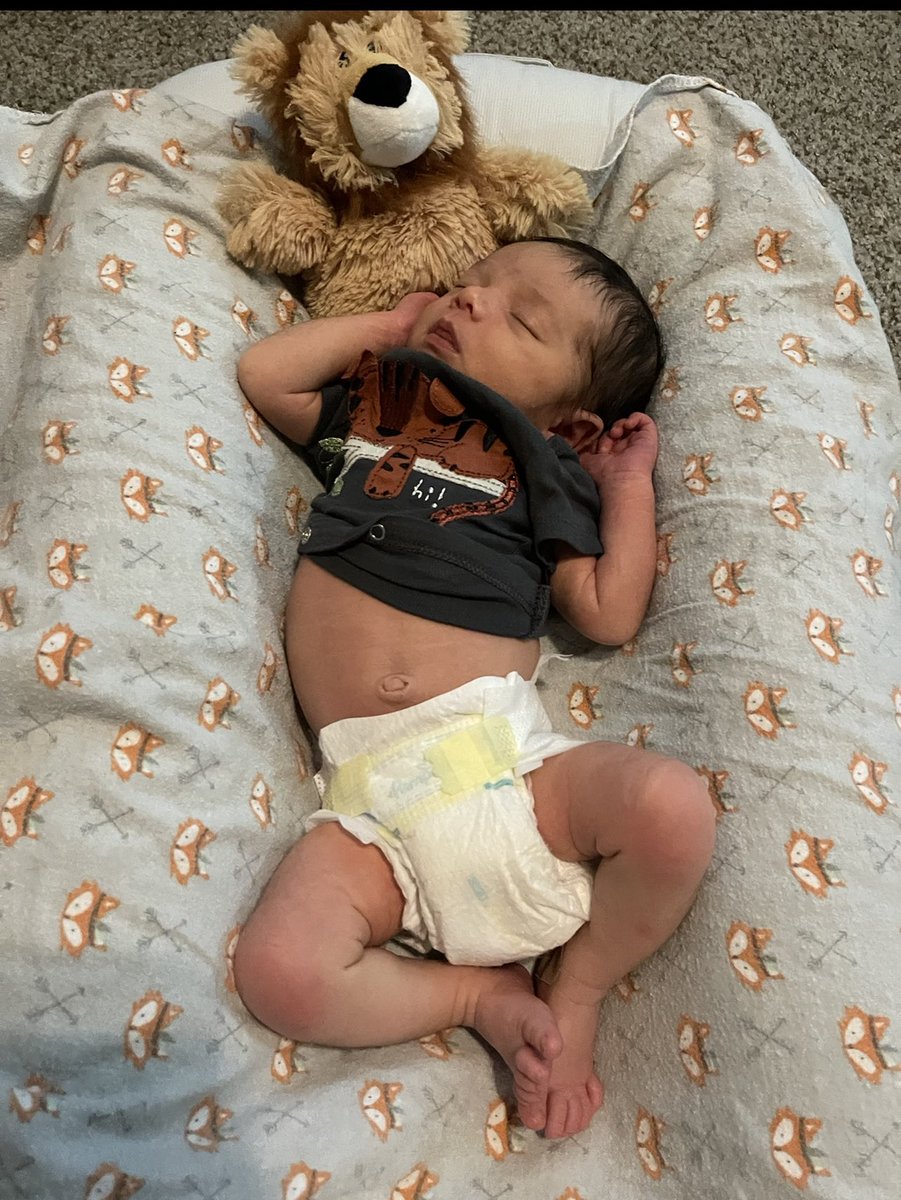 Megan Padua tweet media