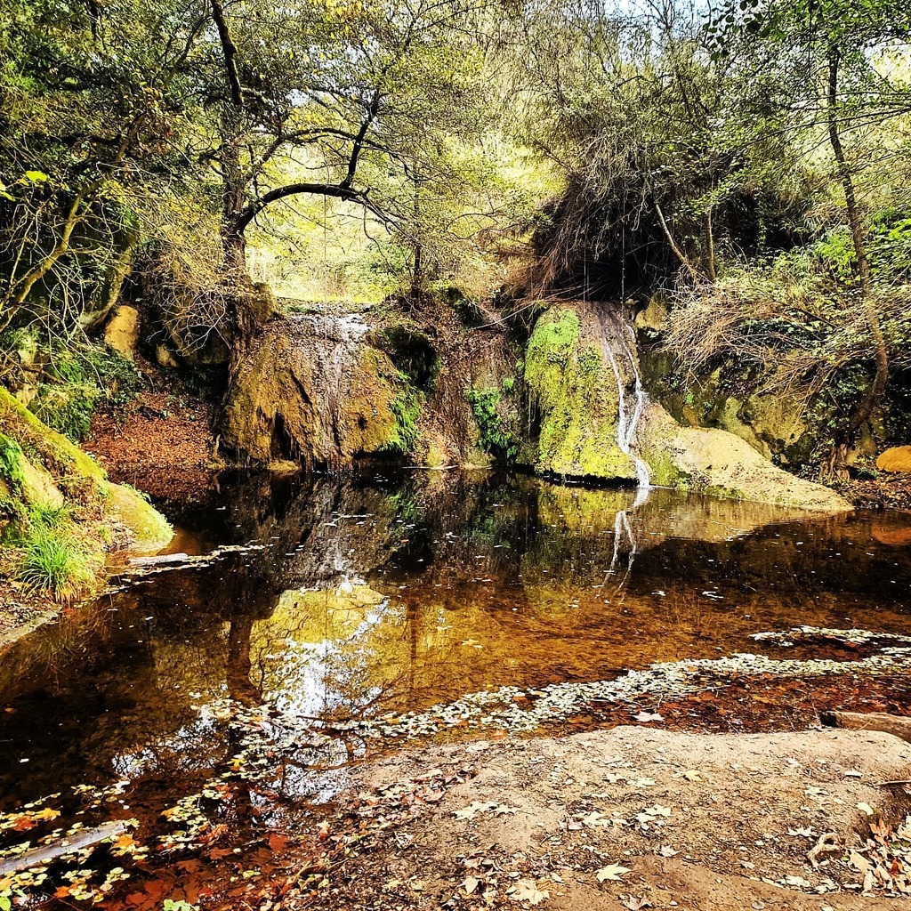 miquelduran's tweet photo. Salt del Timbarro, Sarrià de Ter... #quantumbtt de tardor https://t.co/y4dtOAsFqC https://t.co/PBn7GXd1V1