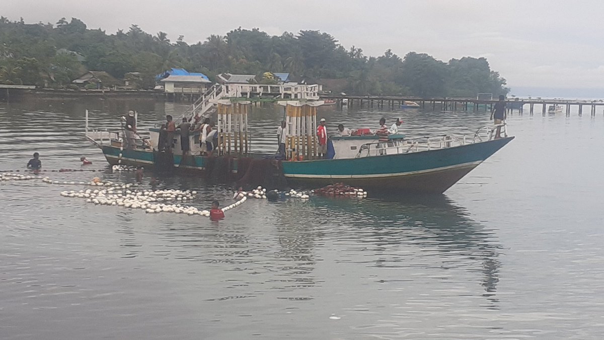 SLatu14's tweet photo. Senin (15/11/21)
Syaprudin Latuconsina
Luhkan Kab.Maluku Tengah
Melaporkan hsl tangkapan 
Bp Hasna ali Angkotasan,
atal tangka Purse seine, ikan layang
300 Kg,1500/Kg.
#giatluhkanSatminkalAmbon
#luhkanKabMalukuTengah
#luhlapor #produksi @tangkap
@brsdm_kp @puslatluhkp @kkpgoid https://t.co/ENfi1Qwasd