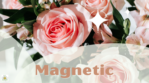 Edelweiss Academy of Mastery tweet media