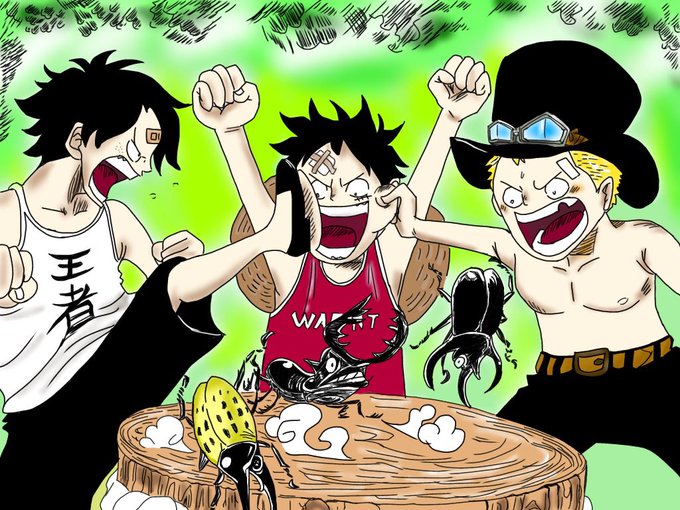 Onepieceのtwitterイラスト検索結果