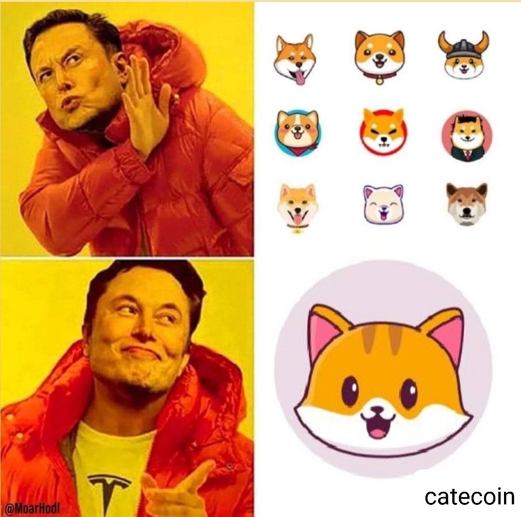 meltedmatt1's tweet photo. #catecoin is the next #shibainu amazing community, play to earn game launching soon, 140 X to reach #shib and #doge market caps. Potential gains are massive. You're still early with $CATE #memecoin 
#Crypto #CateArmy 
😺🚀🌙 https://t.co/iYNMuwt7NT