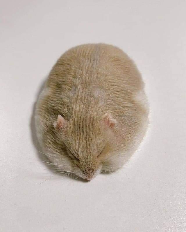 sen27686's tweet image. 