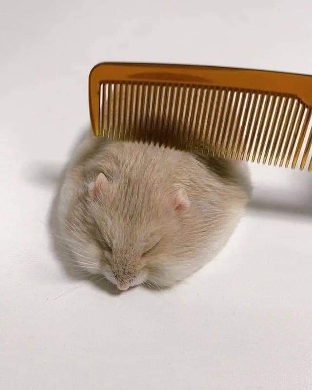 sen27686's tweet image. 