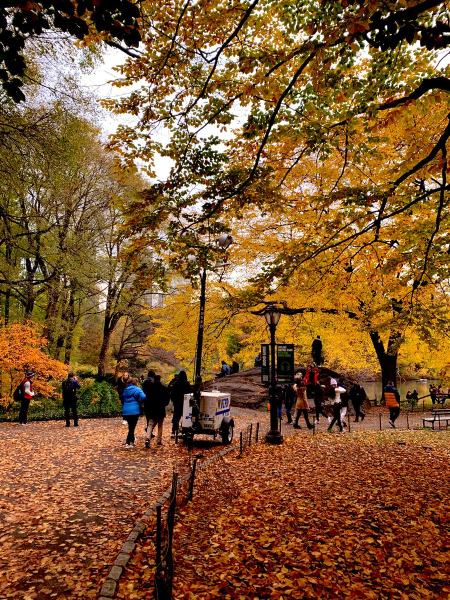 rrabadi2's tweet photo. Central Park in the fall 🍁 #CentralPark #NewYork https://t.co/TNvhmCYjue