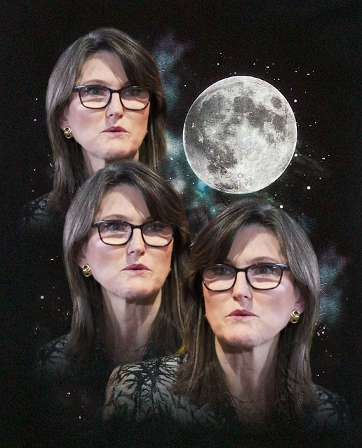 CathieInu's tweet photo. Someone sent this to me this morning. 😂
#cathiewood #3wolfmoon #3woodmoon #tothemoon #cathieinu #shibarmy #shib #doge #dogelonmusk https://t.co/FtZ8hnw3ho