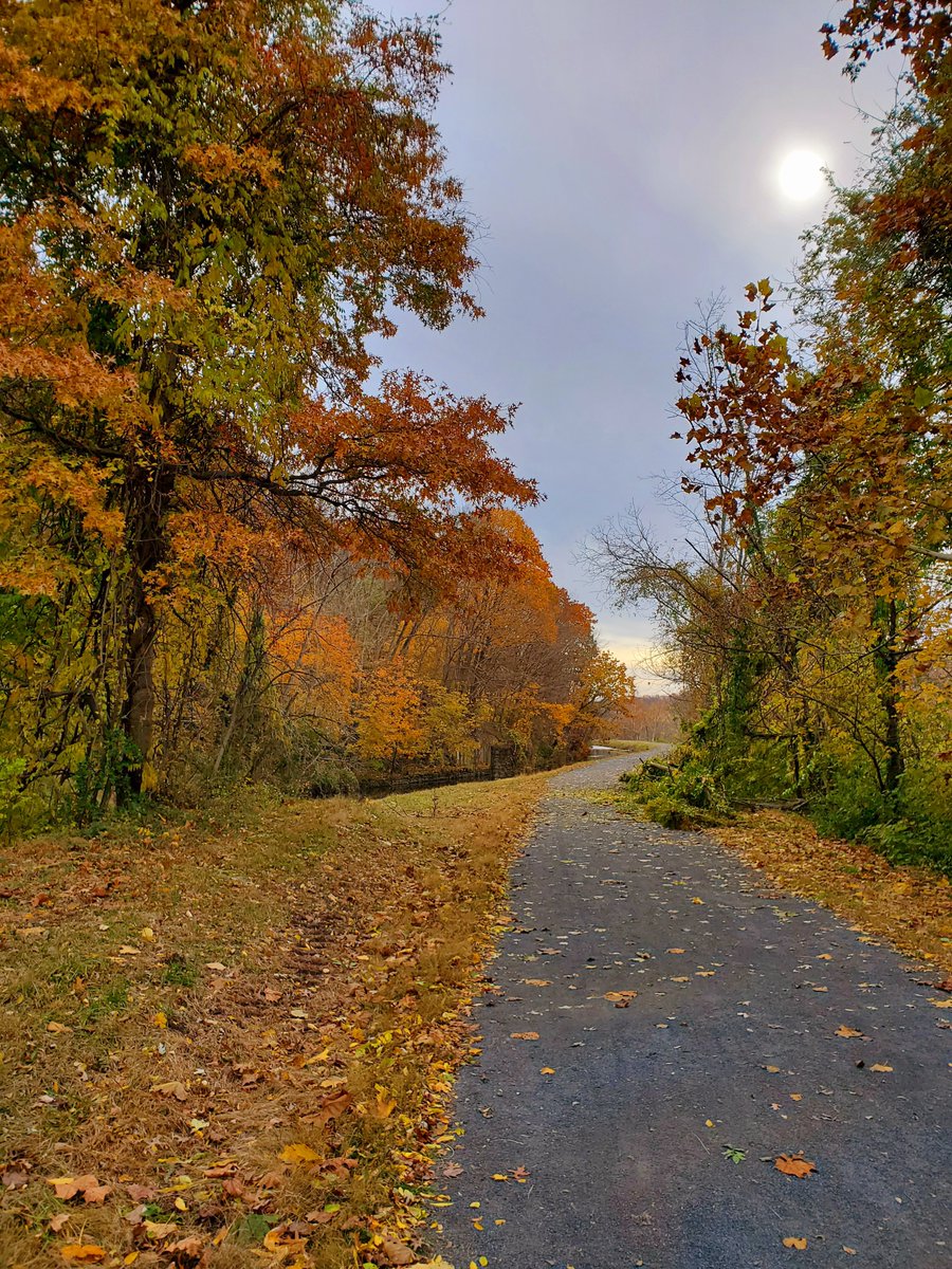 VandergriftKim's tweet photo. Lots of Fall colors on the trail today.🍂🍁 #fallvibes #delawareriver #canal #sundayexercise https://t.co/QCTRmSgjx0
