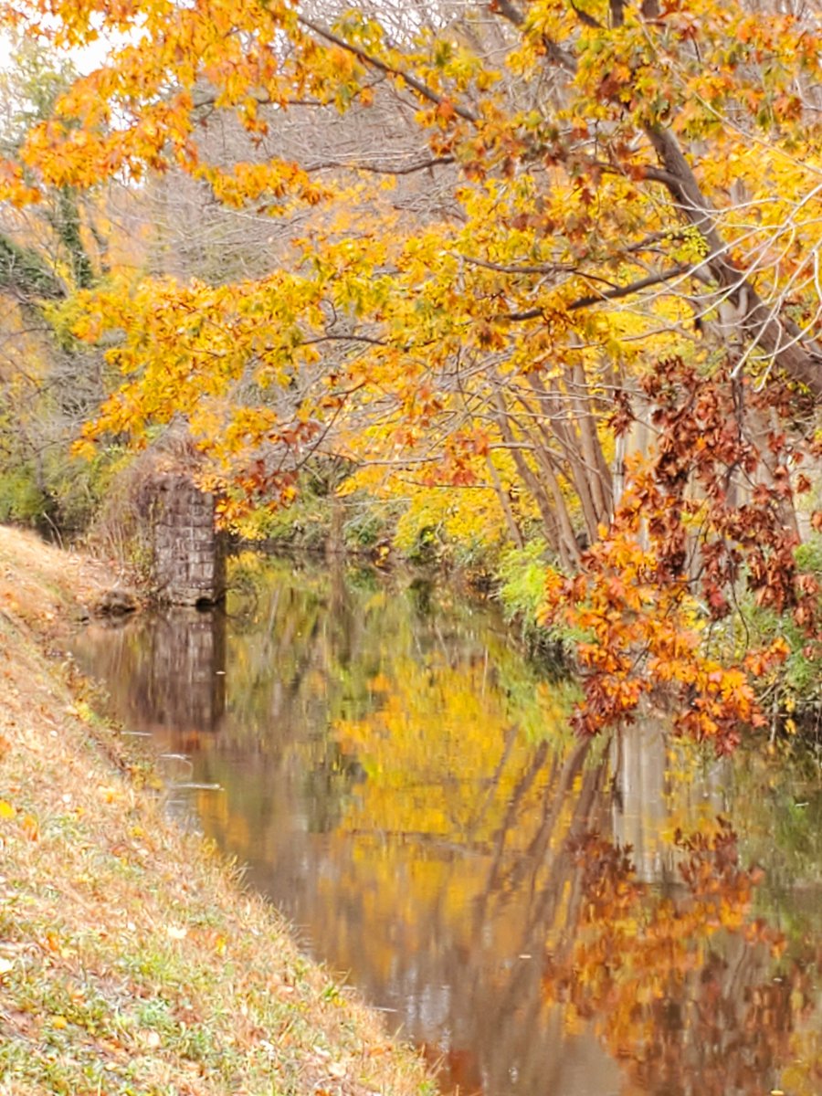 VandergriftKim's tweet photo. Lots of Fall colors on the trail today.🍂🍁 #fallvibes #delawareriver #canal #sundayexercise https://t.co/QCTRmSgjx0