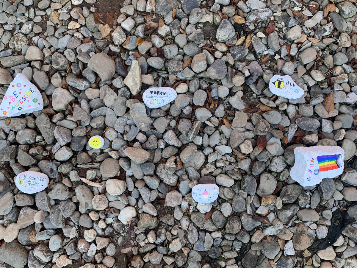 So proud of this Trimester’s Spirit Club! They did an excellent job spreading positivity and kindness!!! #MSWrocks