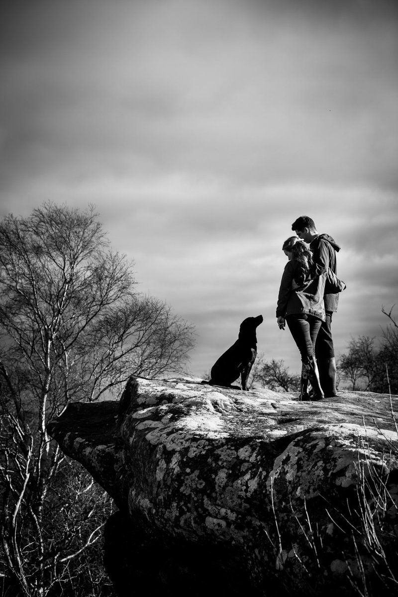 A sneak peek at one of my shoots this weekend 🐾🐾

#dogphotographer
#dogsofyorkshire
#yorkshiredogphotographer 
#labrador
