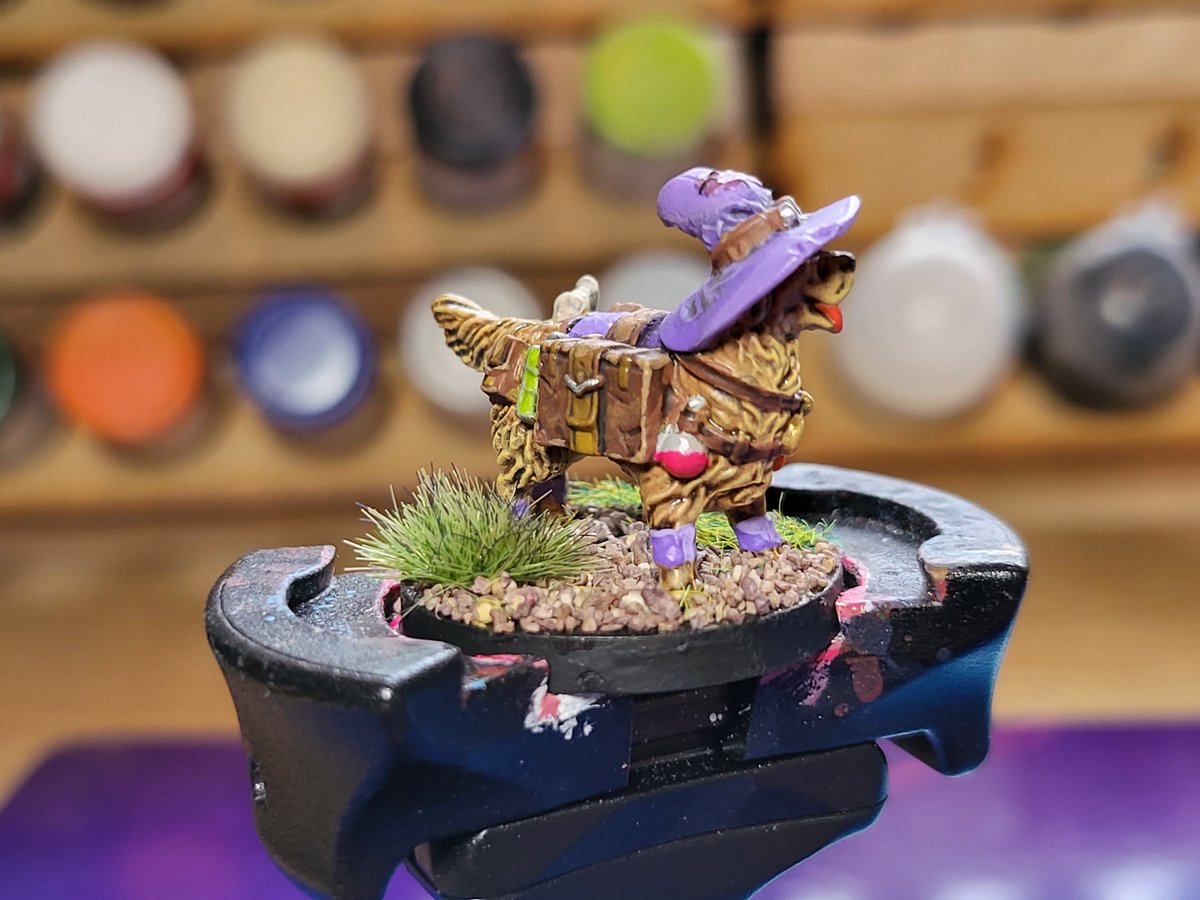 IamFeltip's tweet photo. Dungeons and Doggies 1st Mini
#miniaturepainting #dungeonsdragons #warhammer40k https://t.co/keArqv8X2w