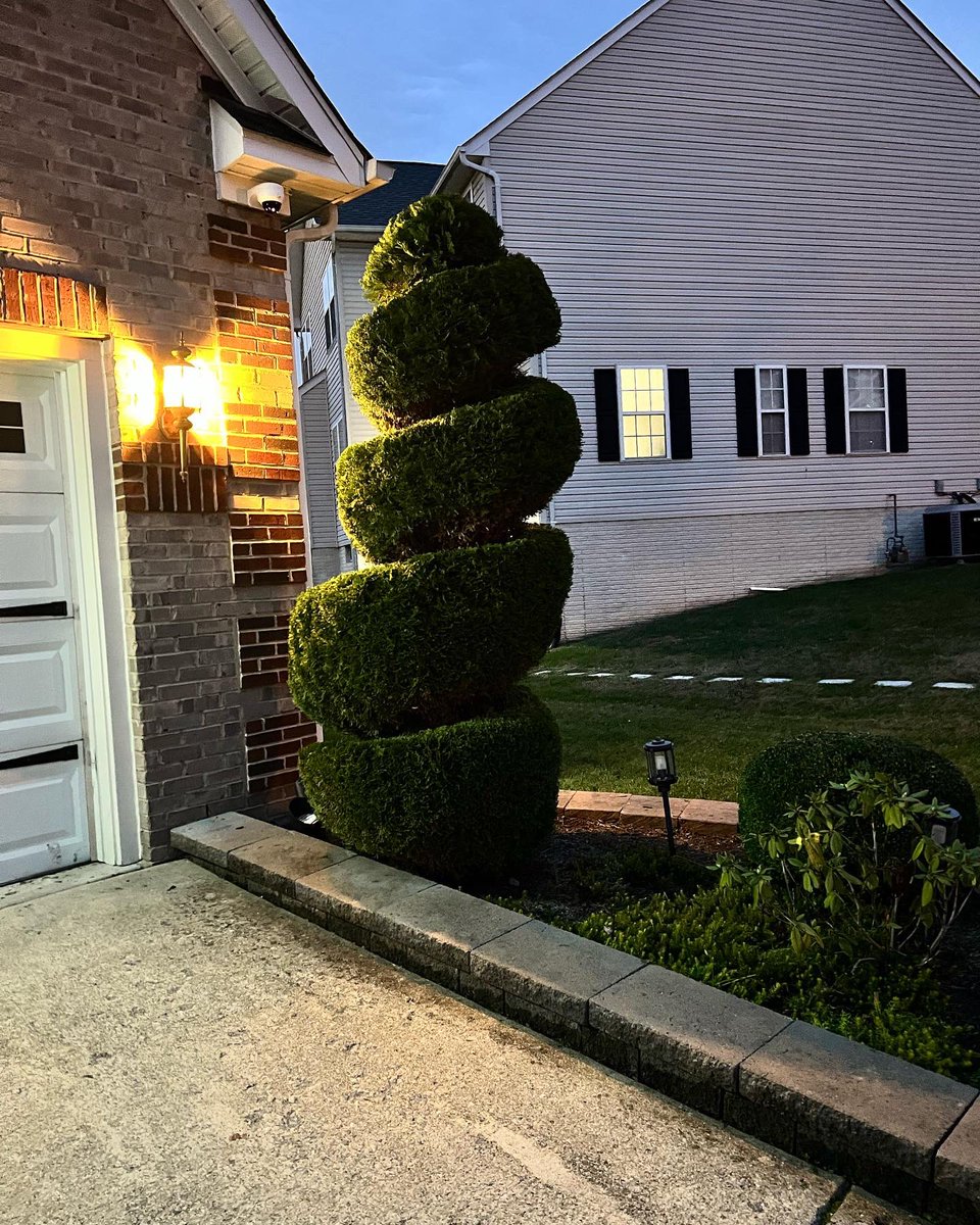 It’s all in the details… #lawncare