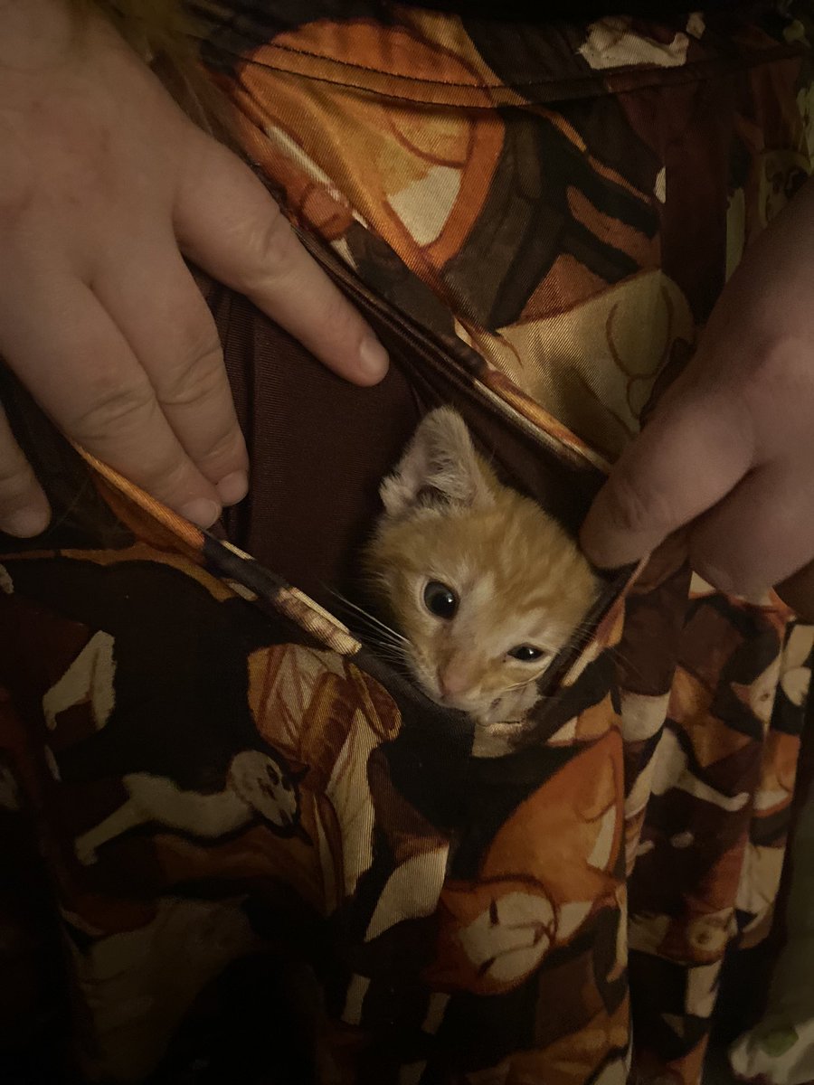 commollusk's tweet photo. the pocket of a skirt from @mayakern can fit more than just a nintendo switch. https://t.co/E7rkSw0K0a