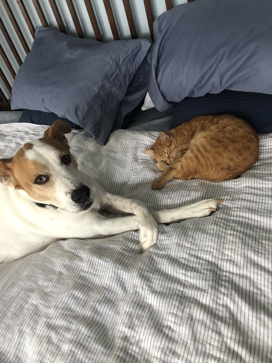 Doug (@gottheshakes) on Twitter photo 