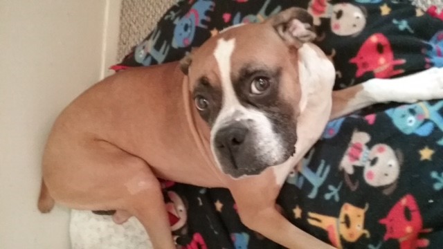 Marianne Jett tweet media