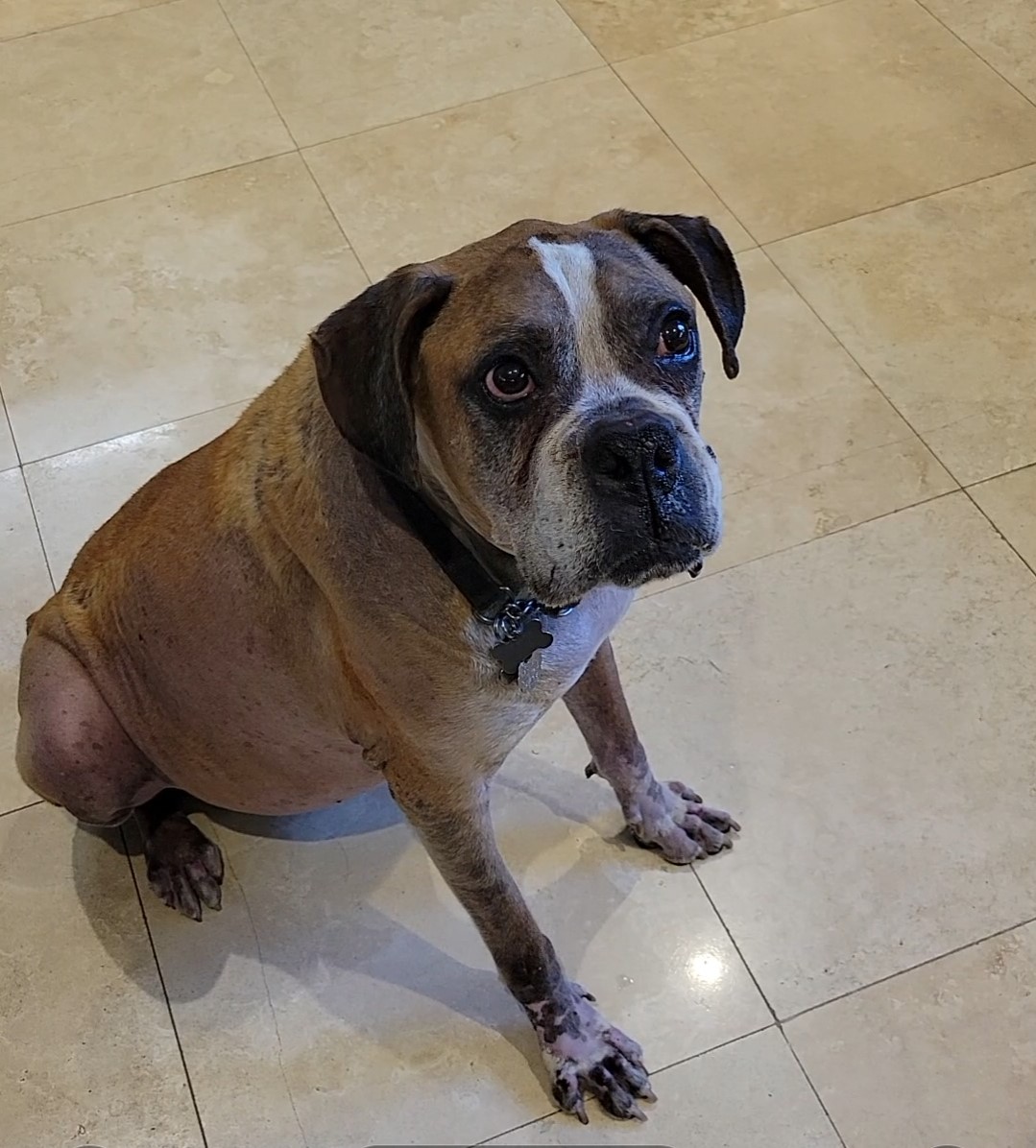 Marianne Jett tweet media