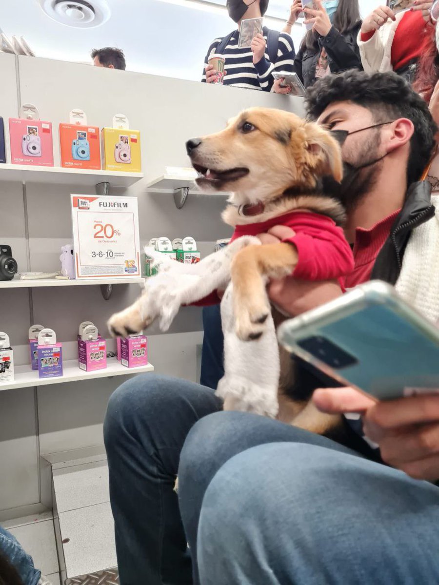 Adopt him was the maserati in the dead end street (he destroyed everything in the room HAHAHA) thanks for let me live this with HOPE <a href="/taylorswift13/">Taylor Swift</a> <a href="/taylornation13/">Taylor Nation</a> and GOD
