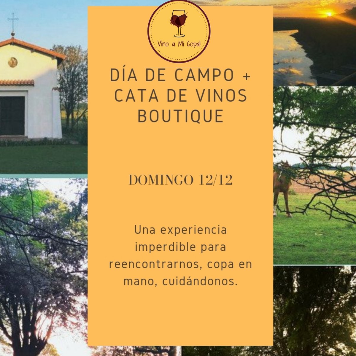 vinoamicopa tweet media