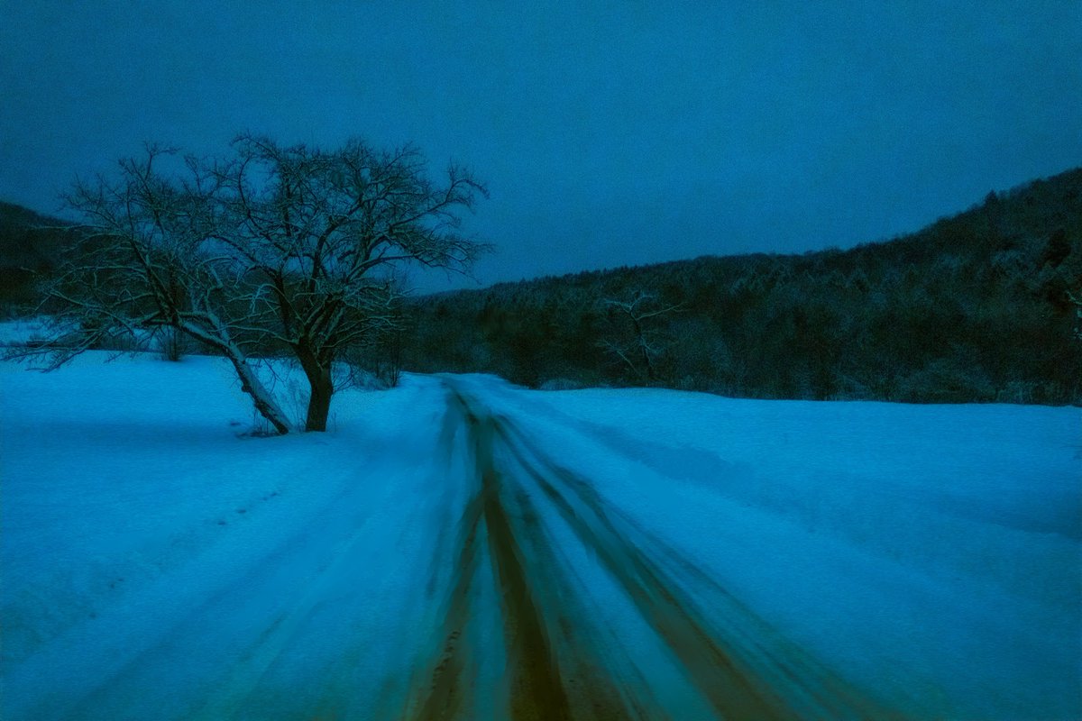 briscoepark's tweet photo. Photos I took this past winter https://t.co/hzvWWtIlZt
