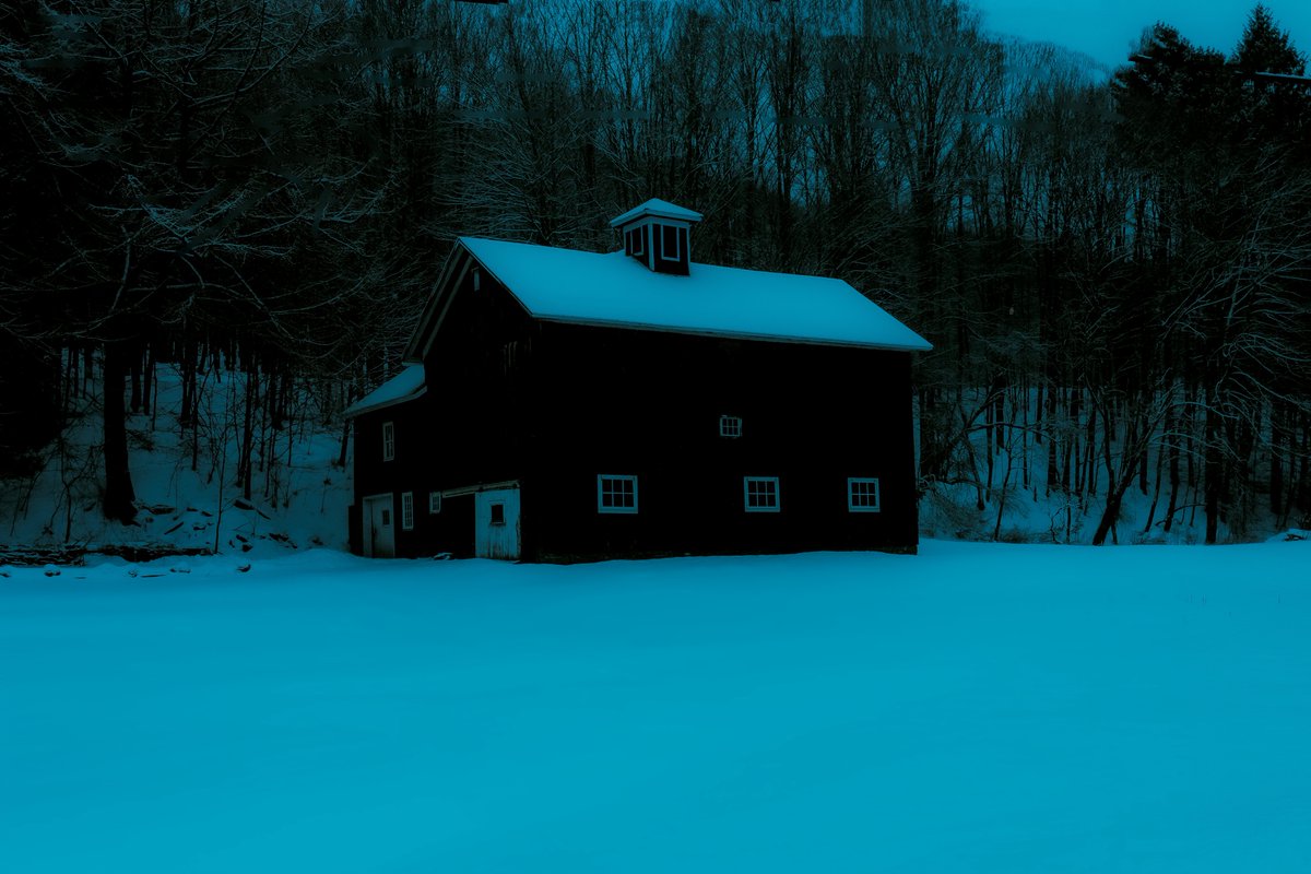 briscoepark's tweet photo. Photos I took this past winter https://t.co/hzvWWtIlZt